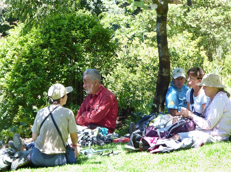 Picnic hike in the Dargle forest