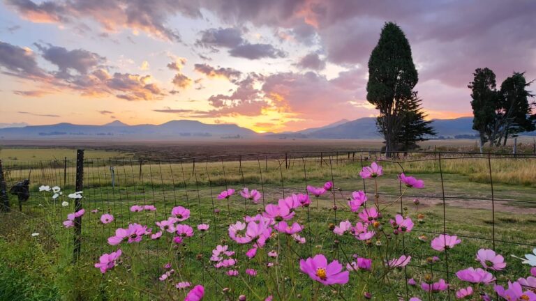 slackpacking wakkerstroom hiking