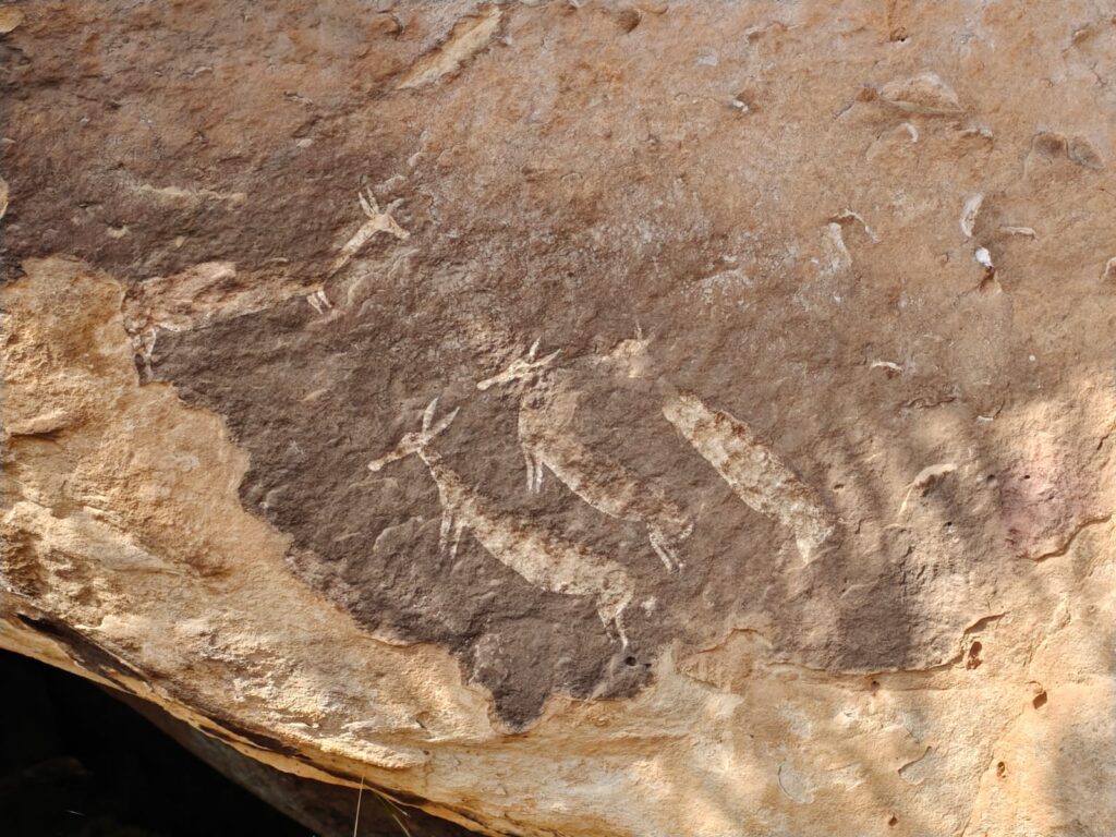 San rock art